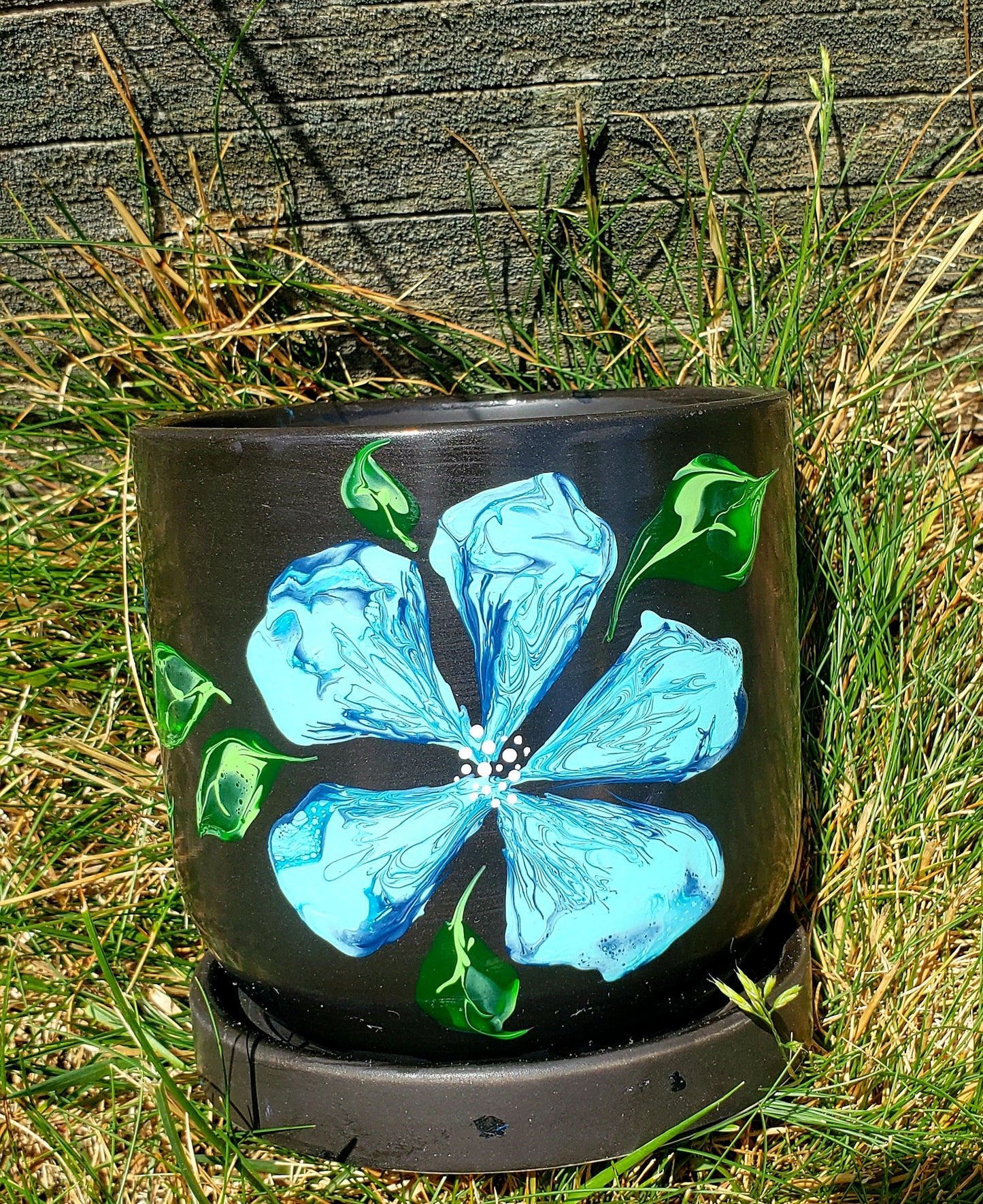 Black Planter with Light Blue Flowers