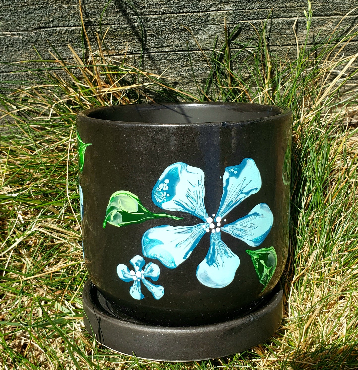 Black Planter with Light Blue Flowers