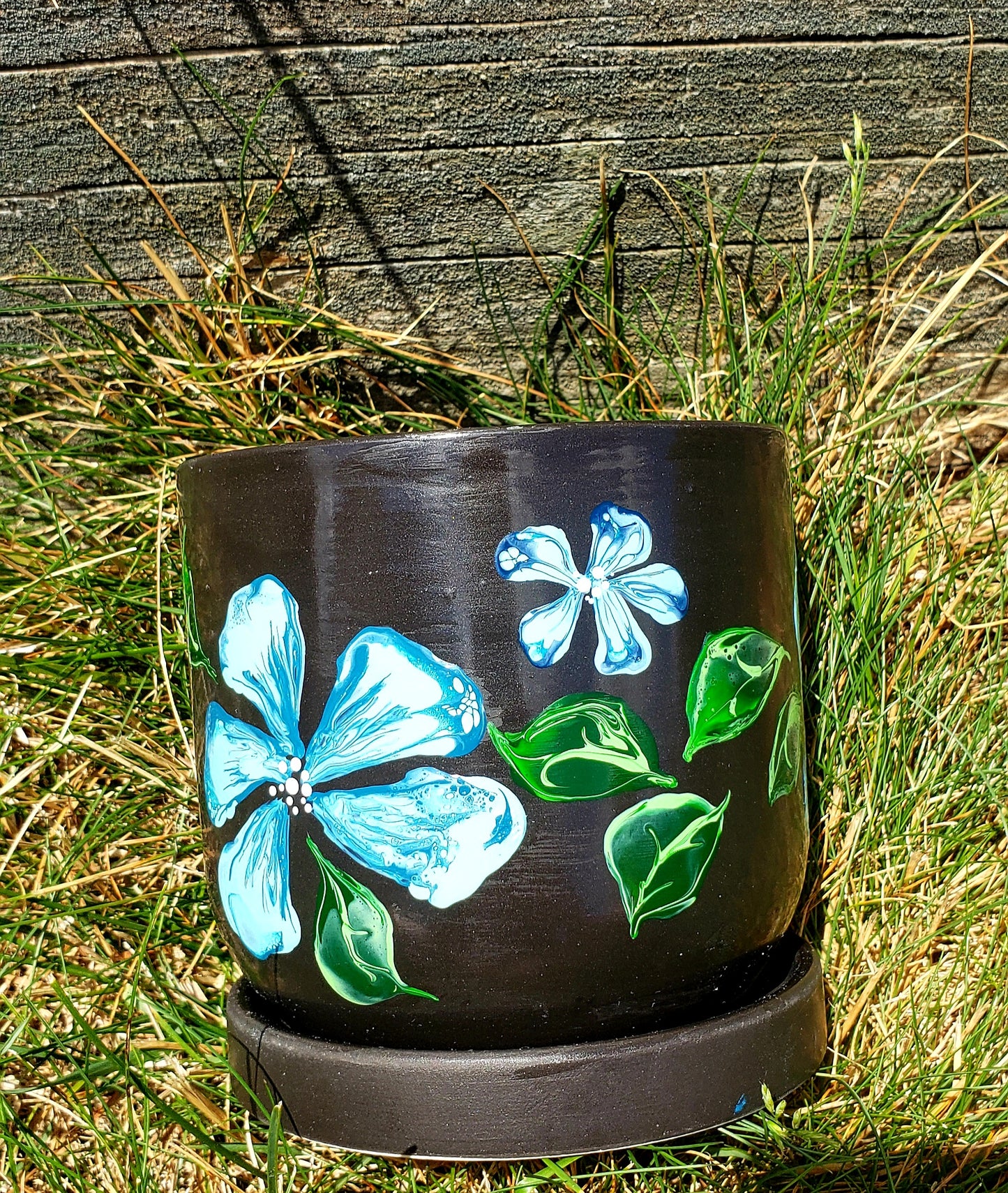 Black Planter with Light Blue Flowers