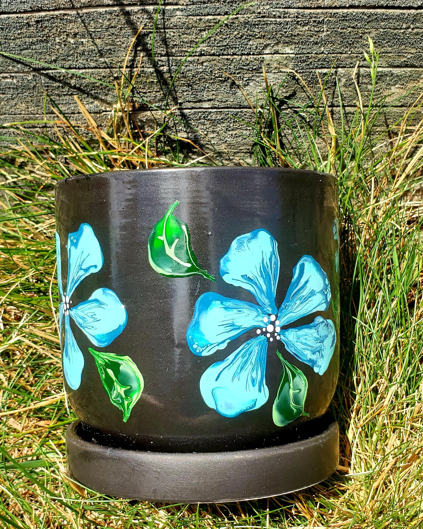 Black Planter with Light Blue Flowers